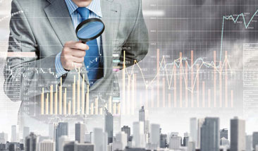 Assessment of a Business Strategy for a Development Group