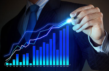 Investment Management in a Group of Companies